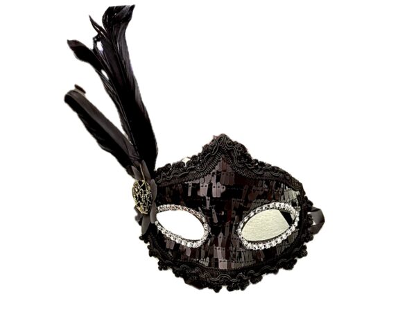 Antifaz deluxe encaje y pluma negra